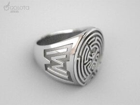 WestWorld maze Ring in Polished Bronzed Silver Steel: 8.5 / 58