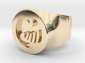 Anime Ring Request S12 Men in 14k Gold Plated Brass