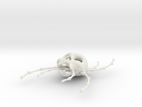 Skull tarantula in White Natural Versatile Plastic