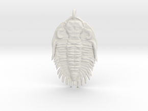Trilobite Pendant  in White Natural Versatile Plastic