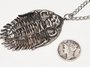 Trilobite Pendant  in Natural Silver