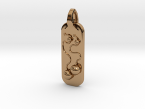 Poi Pendant in Polished Brass