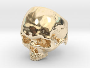 Mammoth Skull Ring No Mandible US size 10 with add in 14K Yellow Gold