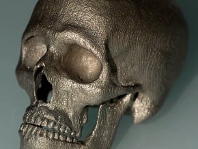 Human skull - 65mm in Polished Bronzed Silver Steel
