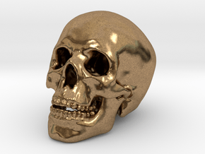 Human Skull - medium in Natural Brass