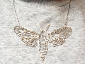 The Spurge Hawk-moth  in Polished Silver