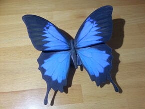 Blue Butterfly in Full Color Sandstone