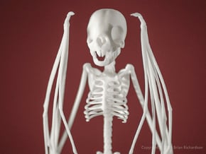 Vampire Bat Skeleton  in White Natural Versatile Plastic