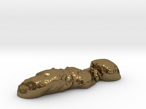 "Oh, poop!" Authentic 3D-scanned, life-sized feces in Polished Bronze