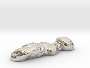 "Oh, poop!" Authentic 3D-scanned, life-sized feces in Platinum
