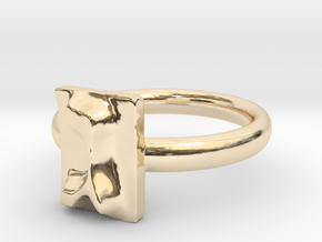 03 Gimel Ring in 14K Yellow Gold: 5 / 49