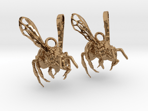 Western Honey Bee Earrings in Polished Brass