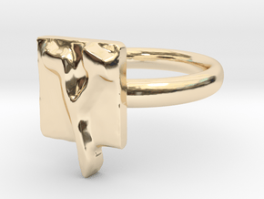 27 Tzadi-sofit Ring in 14k Gold Plated Brass: 7 / 54