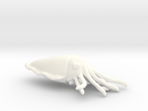Cuttlefish in White Processed Versatile Plastic