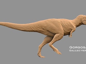Gorgosaurus1:40 v1 in White Natural Versatile Plastic