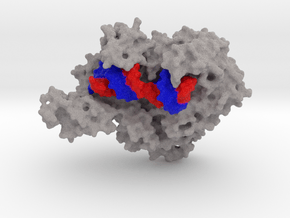 HIV Reverse Transcriptase in Full Color Sandstone