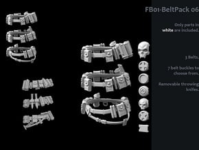 FB01-BeltPack-06s  6inch in White Processed Versatile Plastic