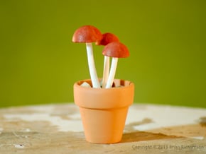 Shrooms To Be Potted in White Processed Versatile Plastic