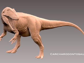 Carcharodontosaurus 1:72 v1 in White Natural Versatile Plastic