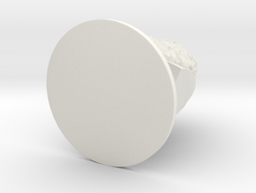 Stallprint7in in White Natural Versatile Plastic