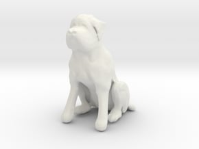 Printle Animal Dog 06 - 1/24 in White Natural Versatile Plastic