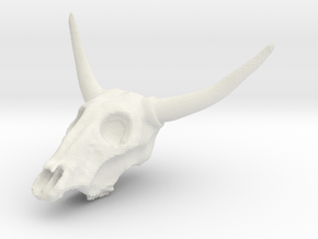 Cow skull in White Natural Versatile Plastic