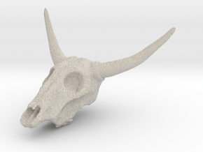 Cow skull in Natural Sandstone