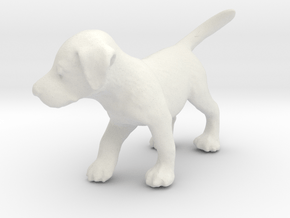 1/12 Puppy in White Natural Versatile Plastic: 1:24