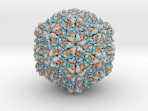  Orange-Spotted Nervous Necrosis Virus in Full Color Sandstone