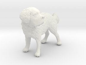 1/24 Saint Bernard (Big Dog) in White Natural Versatile Plastic