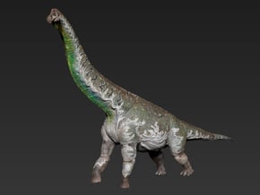 Alamosaurus (Medium / Large / Extra Large size) in White Natural Versatile Plastic: Medium
