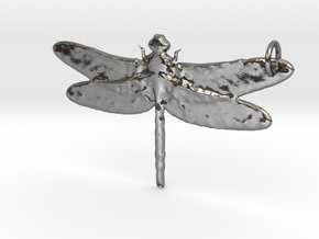 Dragonfly in Polished Silver