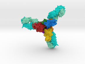 Ebola Glycoprotein with Antibodies in Full Color Sandstone