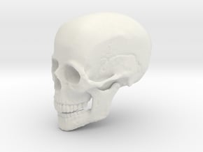 Non-scale Hollow Human Skull  in White Natural Versatile Plastic