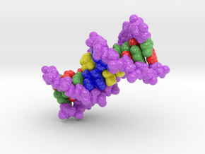 DNA in Glossy Full Color Sandstone