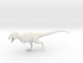 Daspletosaurus Anatomy in White Natural Versatile Plastic: Medium