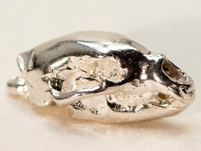 Bear skull pendant in Natural Silver