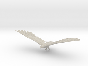 Adler / Eagle in Natural Sandstone