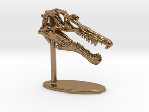 Spinosaurus Skull in Natural Brass: Small