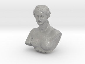 Venus de Milo in Aluminum: Medium