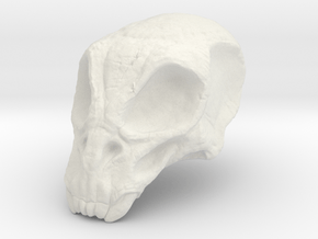 Monster Skull in White Natural Versatile Plastic