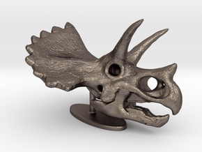 Triceratops Skull in Polished Bronzed Silver Steel: Small