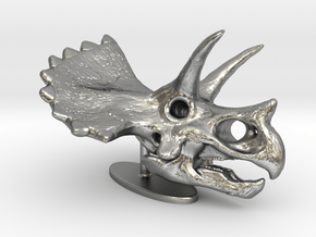 Triceratops Skull in Natural Silver: Small