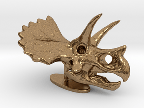 Triceratops Skull in Natural Brass: Small