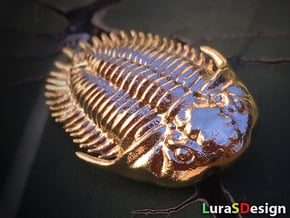 Trilobite Pendant in Natural Brass