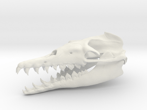 Basilosaurus Skull in White Natural Versatile Plastic