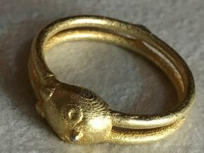 Ring Boy in Polished Gold Steel