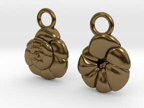 Ammonia tepida Earrings - Science Jewelry in Polished Bronze