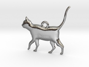 Schrödinger's Cat Pendant in Polished Silver