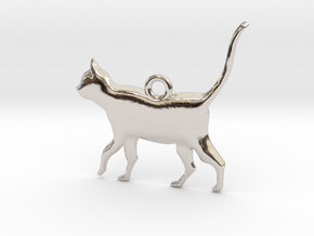 Schrödinger's Cat Pendant in Rhodium Plated Brass